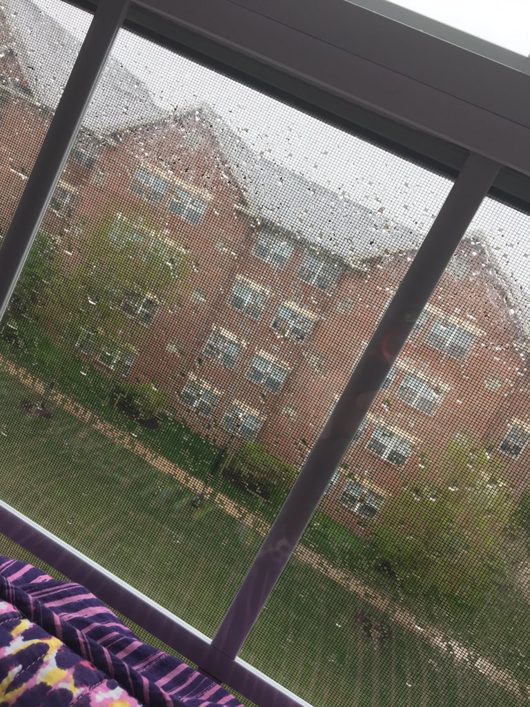 loudmusicgirl22's tweet photo. @tothecityband It is most certainly not a beautiful day...I feel lied to... #masklies https://t.co/sP5KVV8DxB