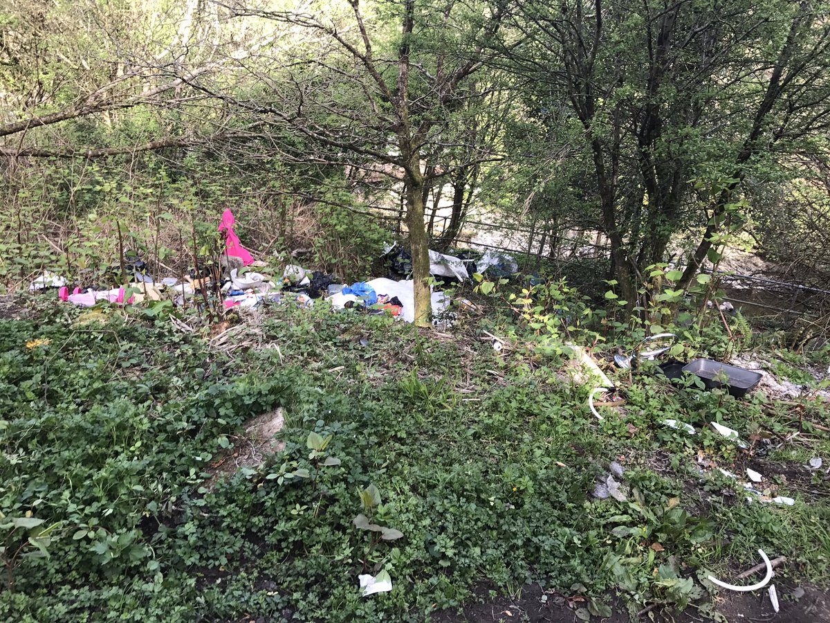 Alex Holland tweet media