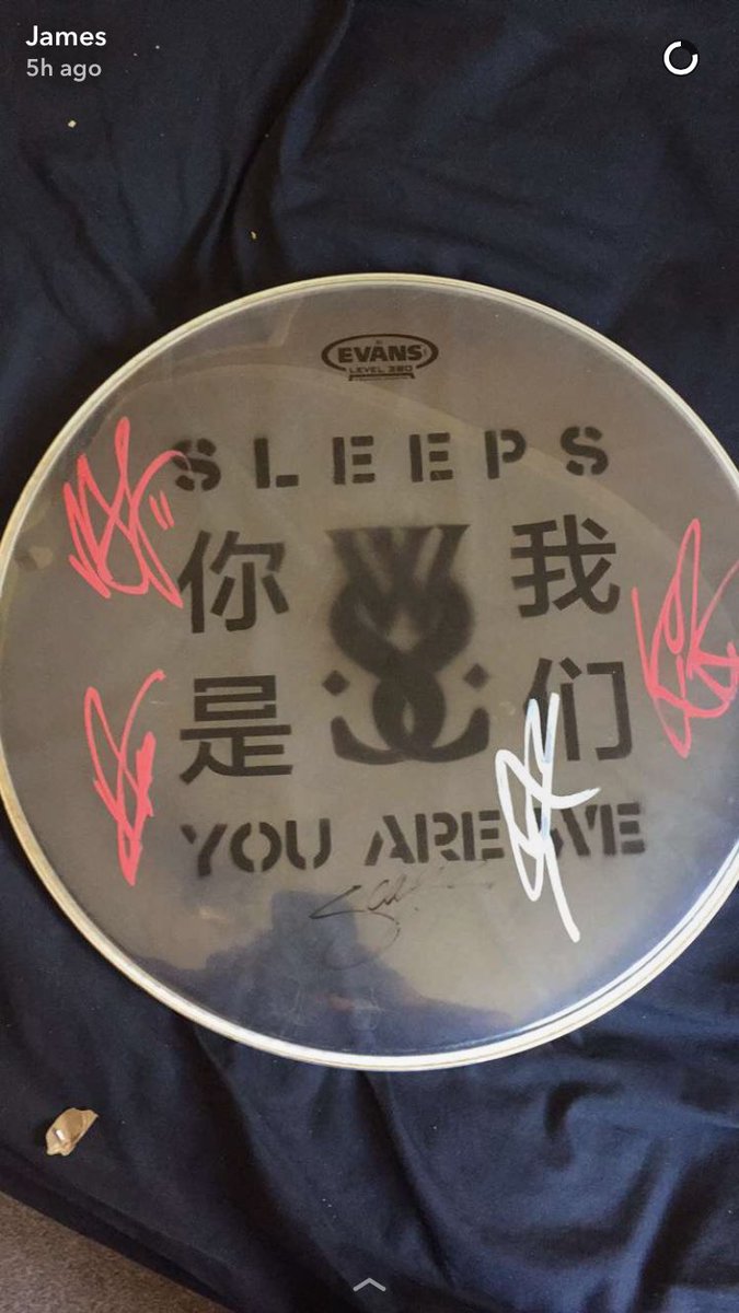 JamesToddy's tweet photo. Got this today. Thanks @whileshesleeps the new album is amazing, have it on full bast all the time! #wss #youarewe #drumskin #stoked https://t.co/Wej6qloSia