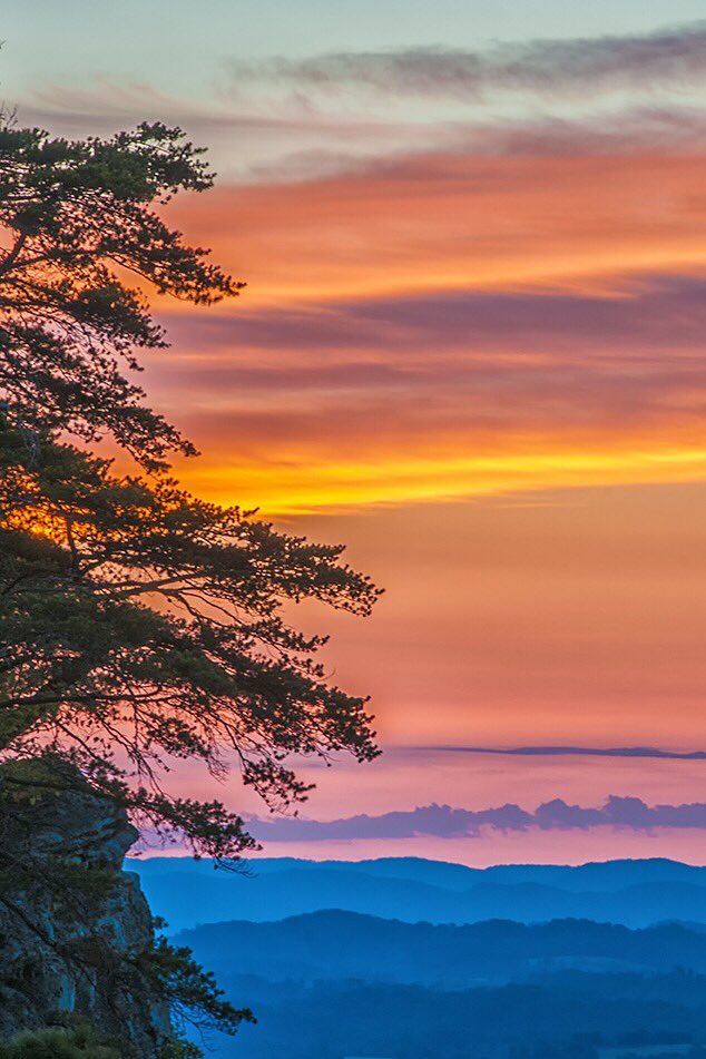 A tree seen at the left edge of the photo on a rocky cliff. Mountains and clouds form rolling layers from the bottom of the photo to the top, transitioning from blue to pink, purple, coral, orange and yellow