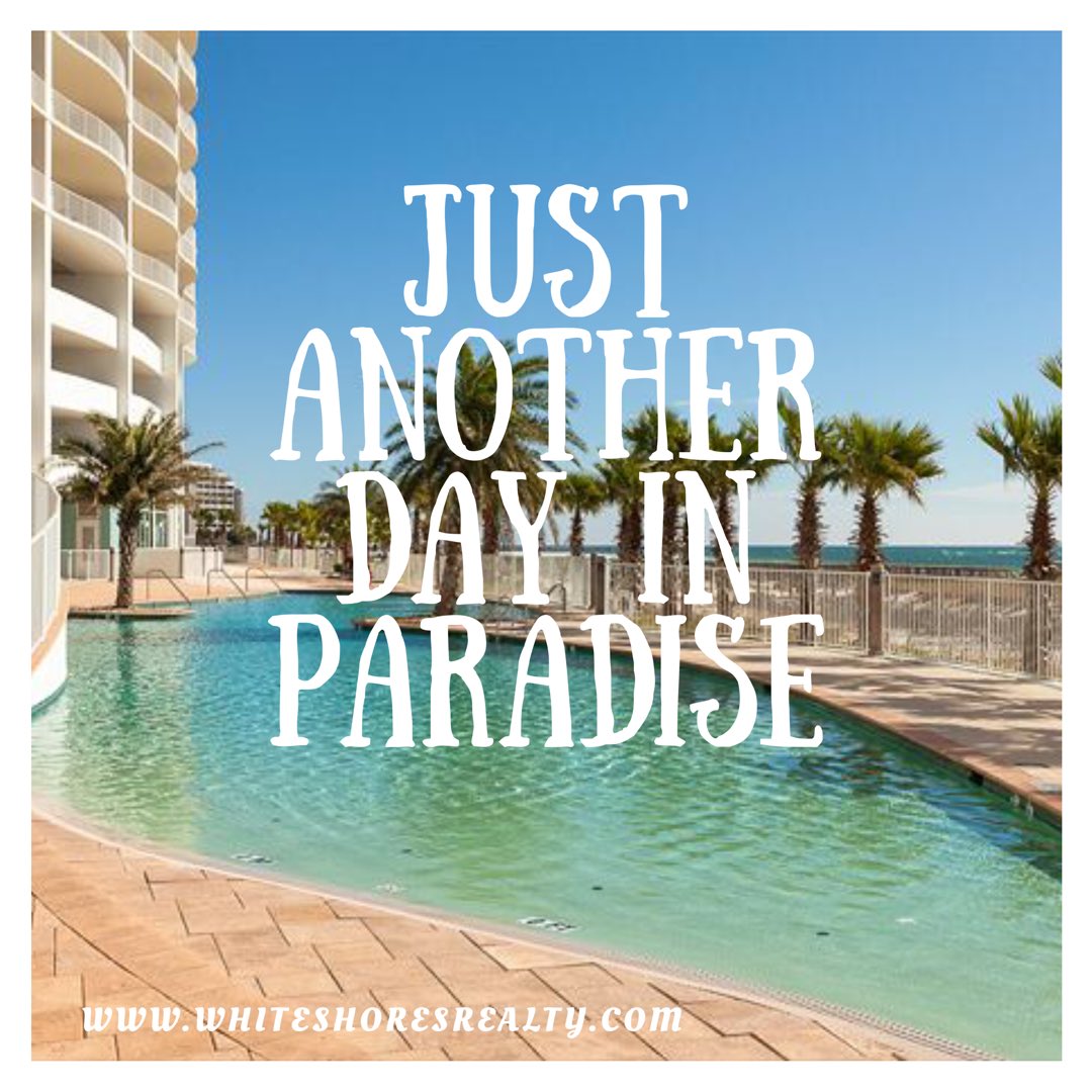 White Shores Realty (whiteshoresreal) Twitter