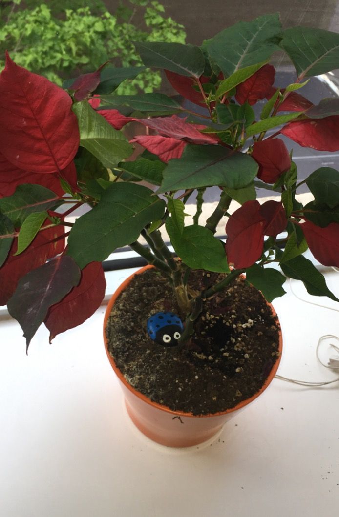 NextSpaceRN's tweet photo. Some fun "Easter Eggs" have landed here at NextSpace. Come find them all. 
#NSRN230 #coworkingworks #cowork #NextSpace #CoTwerkinWorks https://t.co/bRqGSEPelq