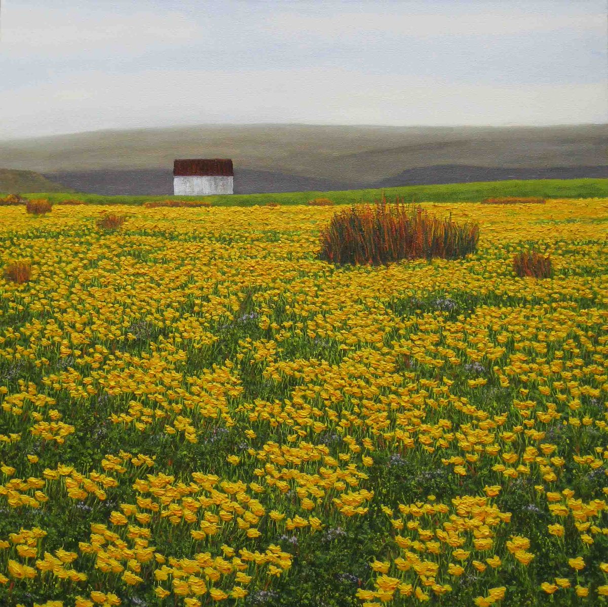 Oil Painting sold at Coquetdale Arts Centre. Rothbury
coquetdalearts.co.uk