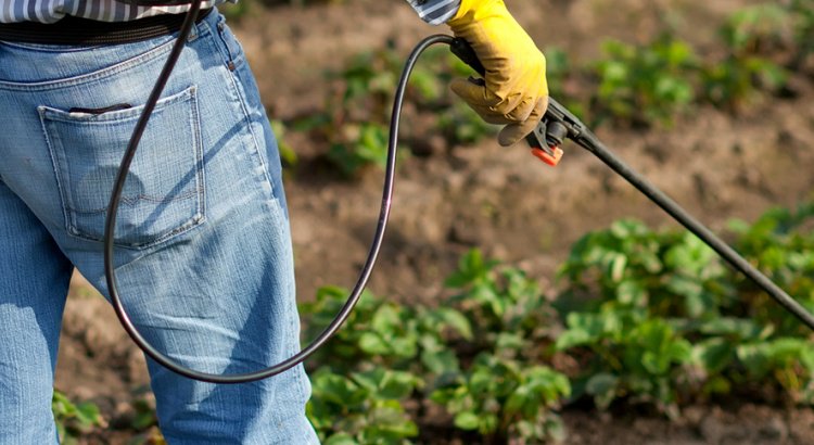 Haywoodchamber's tweet photo. Have any unwanted pesticides laying around? Take them to the Extension Center at 589 Raccoon Road from 10AM-2PM on 4.27! #eco #HYWD https://t.co/NRB8bRz22b