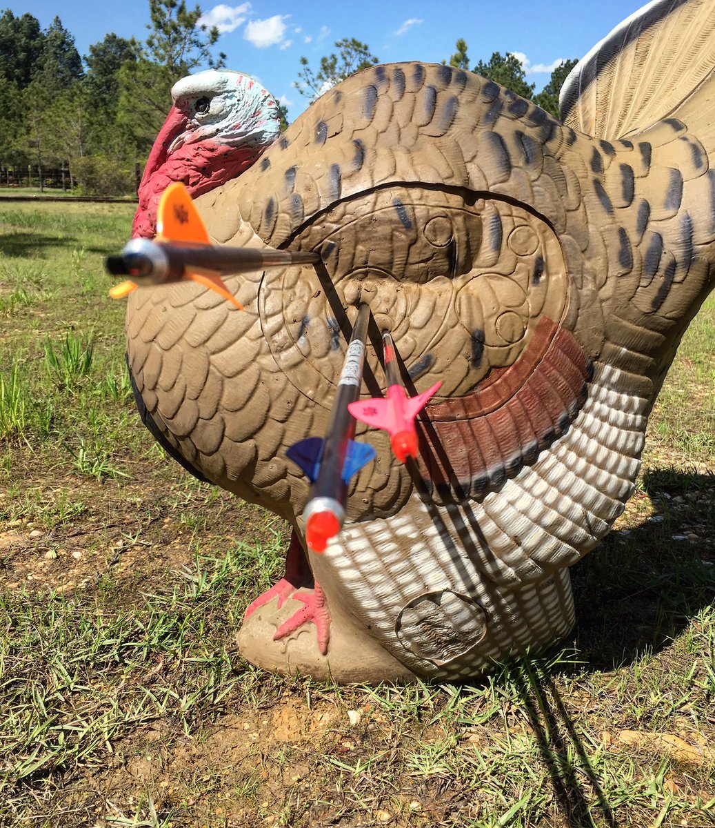 #turkeytuesday includes 3D targets right? 😆 So proud I hit the 12 ring on this turkey😁#archery #girlsshoottoo #whatgetsyououtdoors
