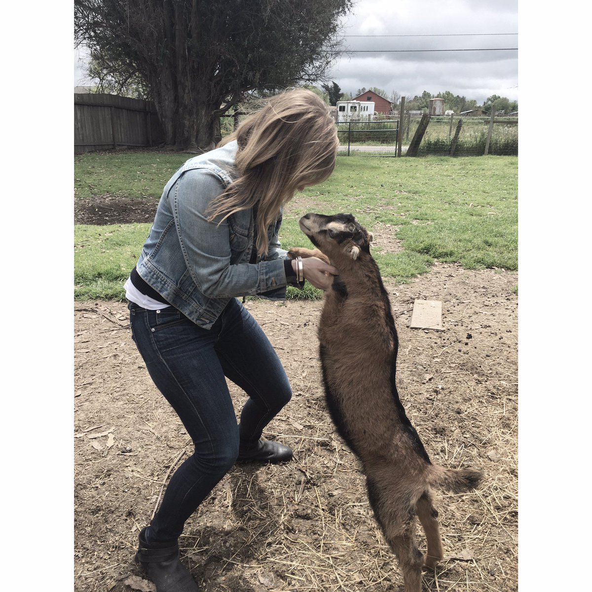 Feeling extra grateful for friends with baby goats. #lettucelaughfaarms