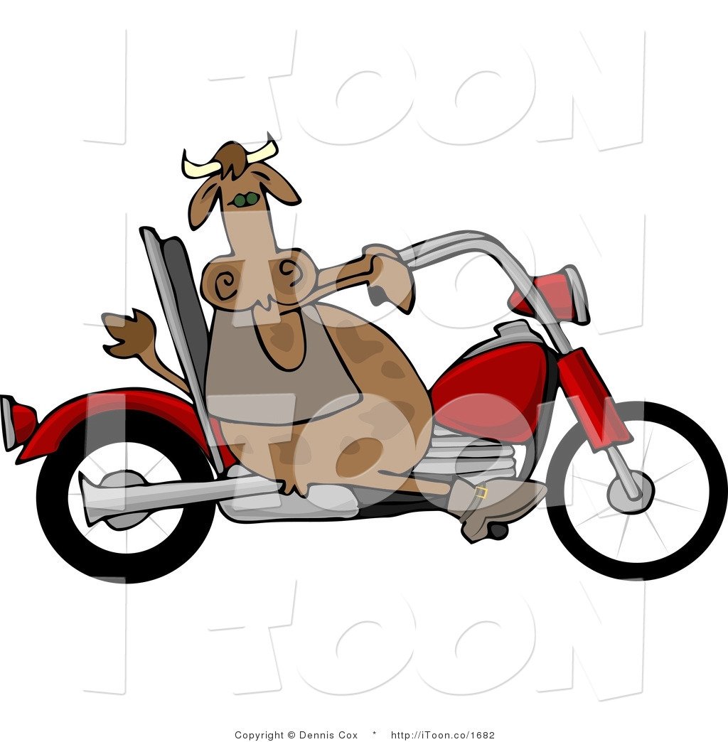 Forge_Genetics's tweet image. Forge bull straws are arriving into farms all over the country. Still time to get yours. Call 0874302322 for some of the countries top bulls