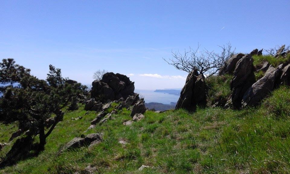 IlBongio2's tweet photo. ALVI TRAIL LIGURIA 2017 https://t.co/trHyQyhAwo
Alcuni dei moltissimi paesaggi che potrete vivere, ammirare e godere all'ALVI TRAIL. https://t.co/bwvvCydQhG