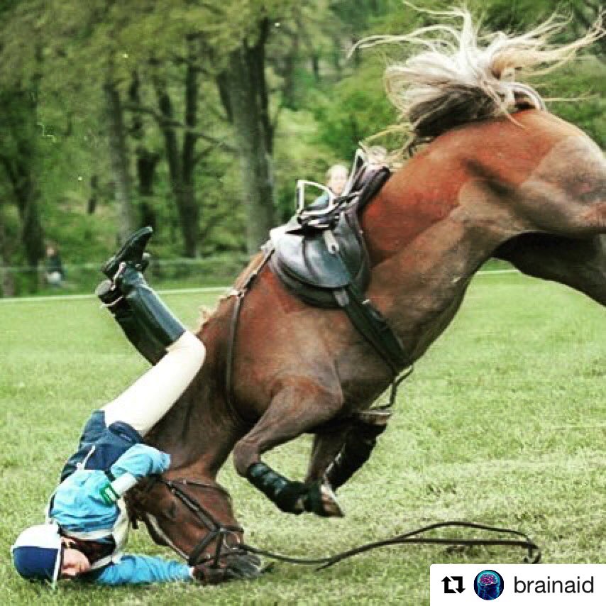 Почему лошадь. Почему на коне. Почему на коне. Пришпорить лошадь. Почему на коне.