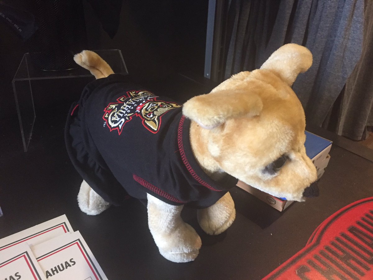 el paso chihuahuas dog jersey