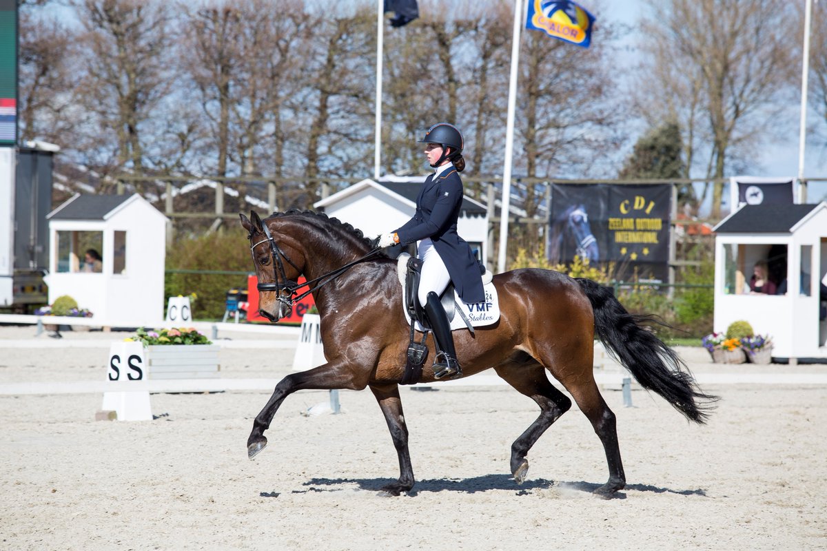 Inschrijving Zeeland Outdoor Dressage 5 t/m 9 juli geopend!
mijnknhs.nl/Game/W010363