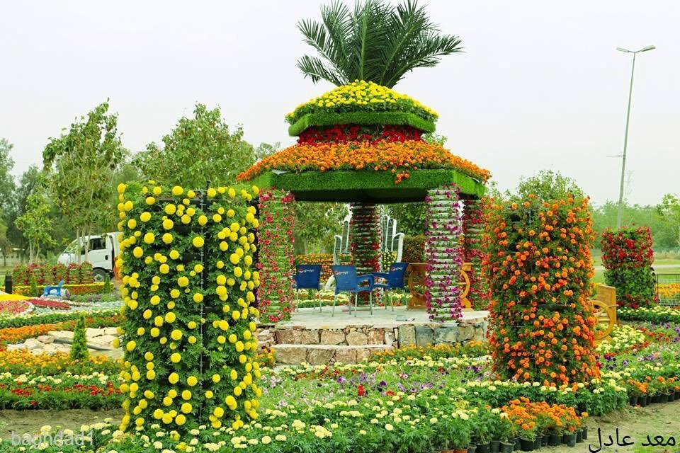 This Is My Iraq tweet media