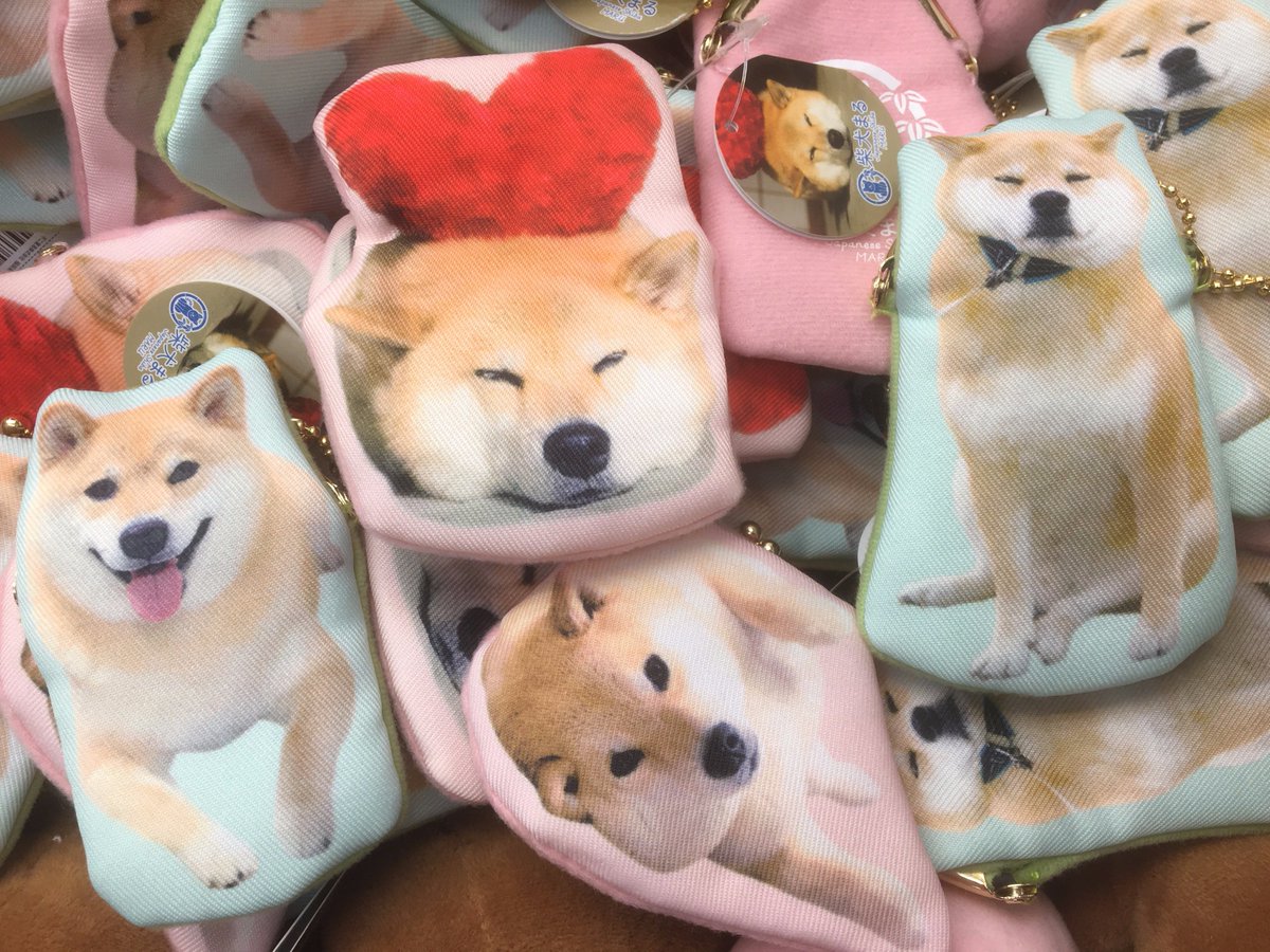 液体 こどもの宮殿 ガチョウ 柴犬 まる 首輪 Woodbuildersconstruction Com 液体 こどもの宮殿 ガチョウ 柴犬 まる 首輪 Woodbuildersconstruction Com