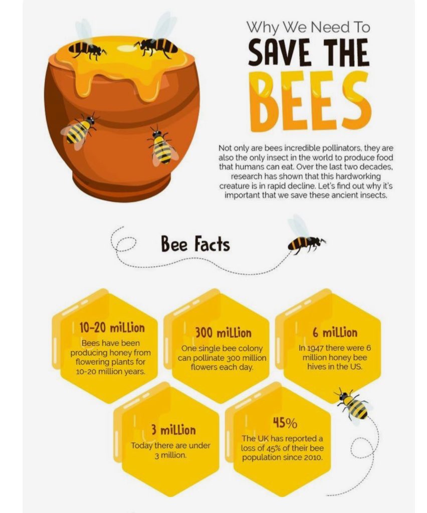 bfhsstem's tweet image. #savethebees 🐝😫