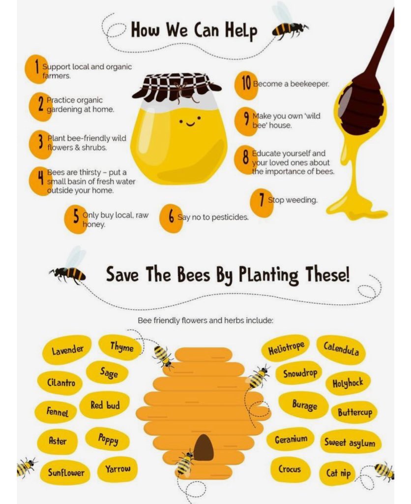 bfhsstem's tweet image. #savethebees 🐝😫