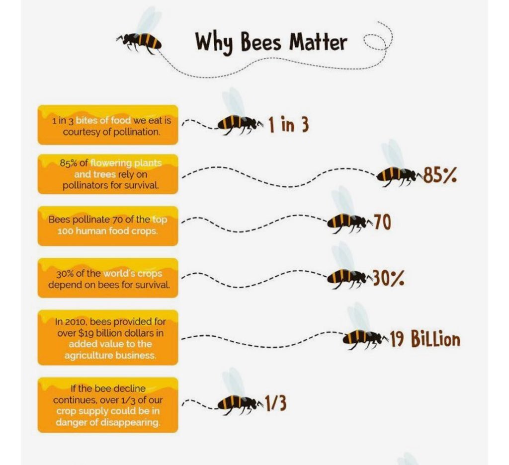 bfhsstem's tweet image. #savethebees 🐝😫