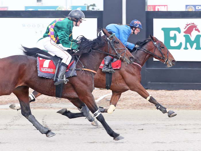 TheTrotsComAu's tweet photo. Today's @Tabcorp_Park action kicked off with a cracking win for @HaleyToulmin and Save Our Pennys over Conan Bridge and @jackiebar96 #Trots https://t.co/MzZdWhA9M4