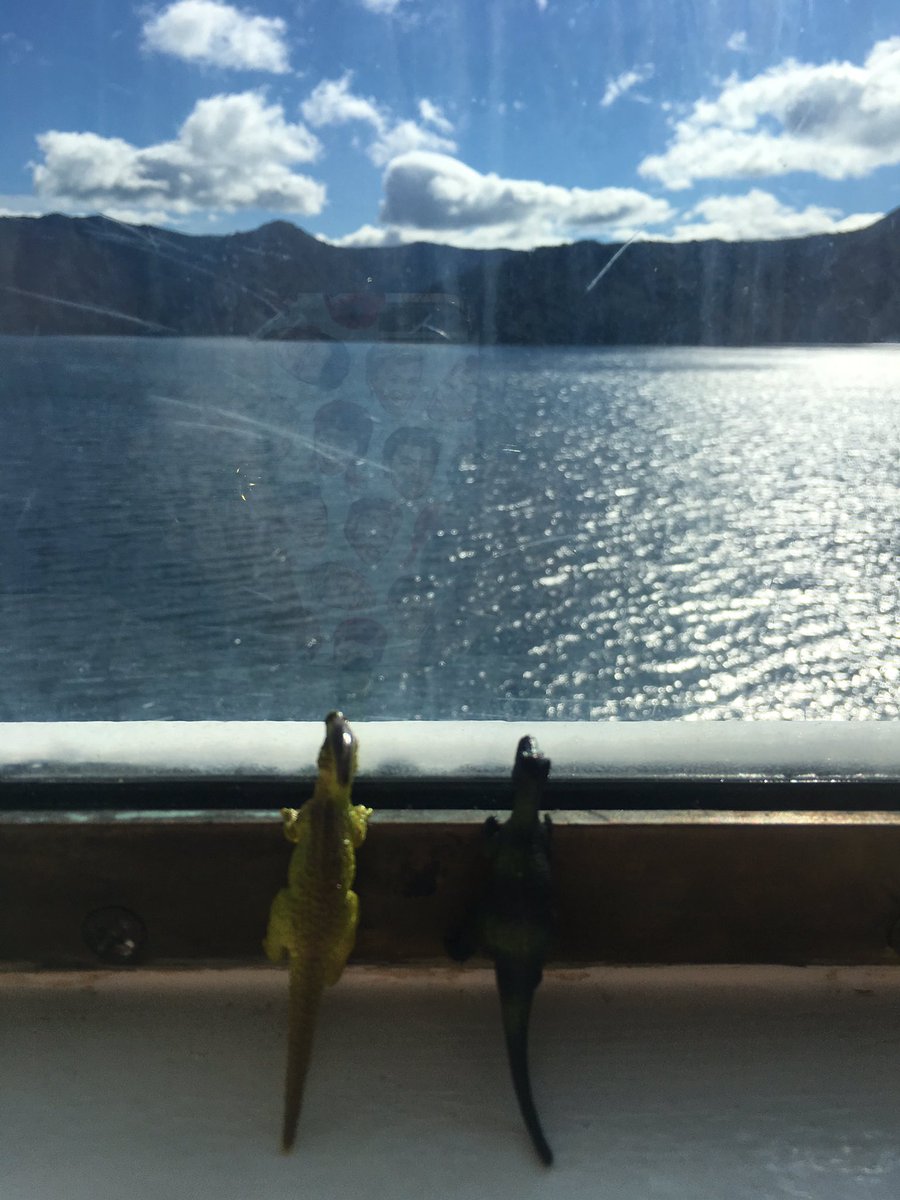 #OneForTheRoad mascots, Brettasaurus &amp; Lupulin, enjoying the view on the <a href="/Interislander/">Interislander</a>.