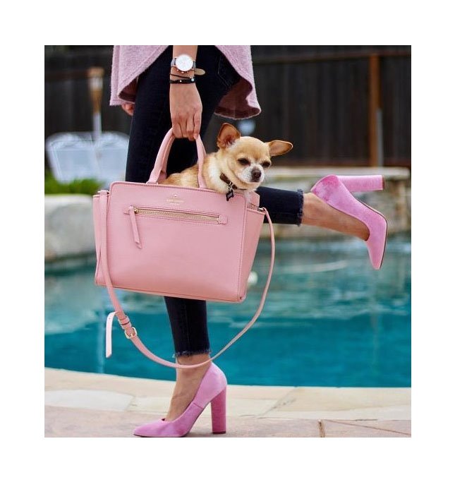 RedLightPR's tweet photo. Pretty in Pink💕 featuring @itskenn wearing @amiclubwear Dusty Pink Pointy Toe Single Sole Chunky High Heels Faux Velvet. #RLPR #amiclubwear https://t.co/EhEIrlqszf