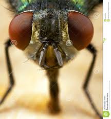 My first selfie!!! #selfie #flylife