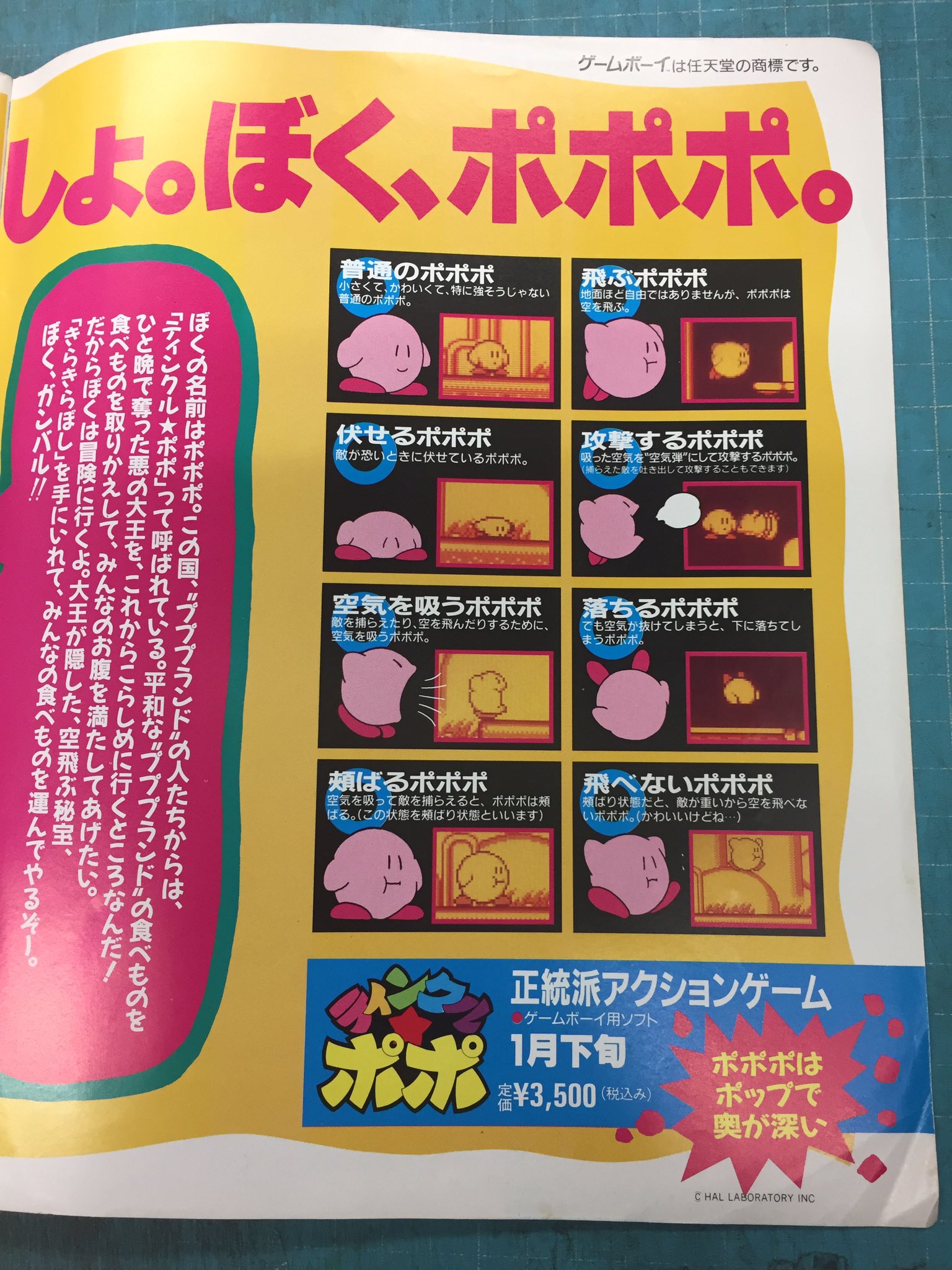 てぃんくるぽぽ ゆっくり解説】ティンクル☆ポポ【星のカービィ解説】 - YouTube