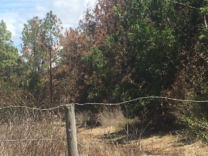 Across the street from my house. I know 100% that if it wasn't for firefighers I wouldn't have a house<a href="/tag/aee2015"class="tags"><span>#aee2015</span></a>