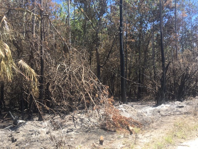 Across the street from my house. I know 100% that if it wasn't for firefighers I wouldn't have a house<a href="/tag/aee2015"class="tags"><span>#aee2015</span></a>