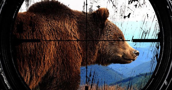 soldier_777's tweet image. Urge President Trump to Keep Protections for Wildlife in Alaska&apos;s Refuges! change.org/en-GB/petition…