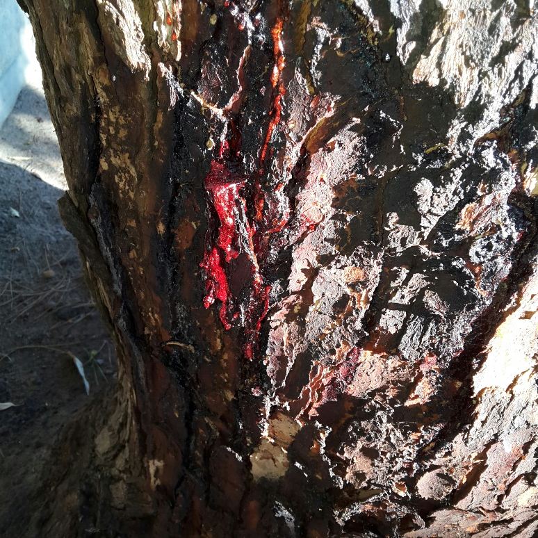 Melissa Cowan (@misstinaco) on Twitter photo 