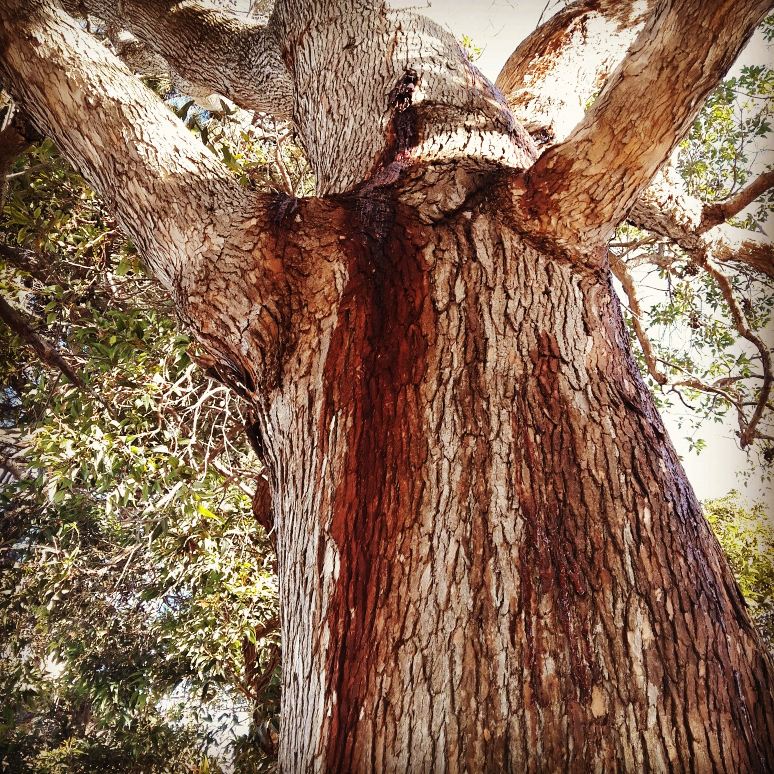 Melissa Cowan (@misstinaco) on Twitter photo 