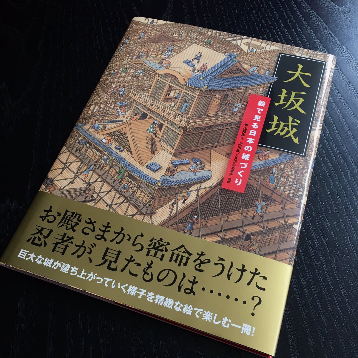 Jun Kidokoro Design على تويتر 第48回 講談社出版文化賞 絵本賞 に輝いた 大坂城 絵で見る日本の城づくり 青山邦彦 作 北川央 監修 も弊社の装丁です 秀吉といえば 金 ということで 編集のwさんにも頑張っていただき こだわりの金帯です 眺めてよし