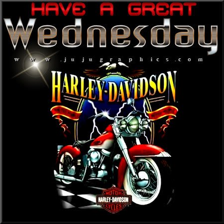 fernride4life's tweet image. GM @jacki_carey @DebPalmer6 @EveIrving69 @SujoreJ @weisermotochick @UniqueBitch2016 @Smokey969 @tycode @frances_van @hoot4 @biQerchick