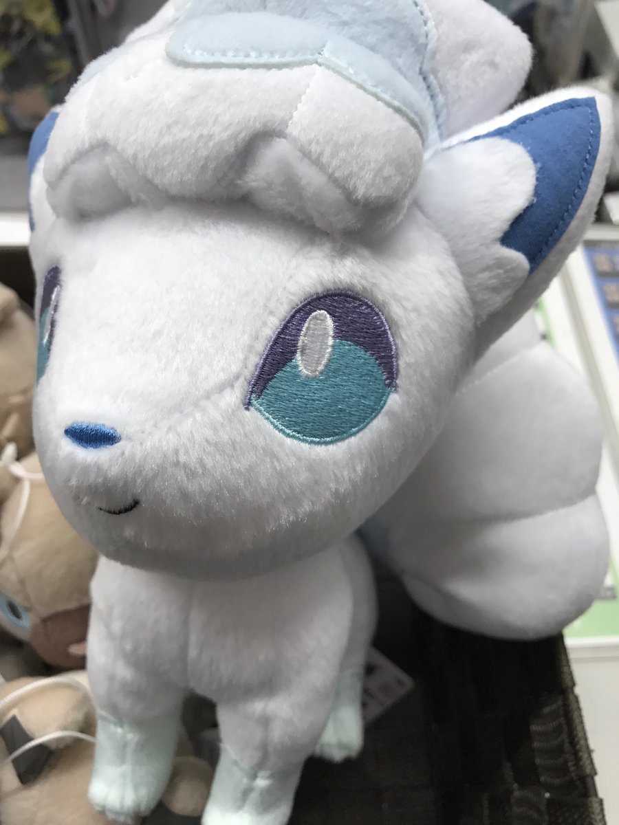 K Books Game館 على تويتر シロンだぁぁぁぁぁーーーーーーーーー アニメポケモンを見ているのアローラロコンが全てシロンに見えちゃいますよね うん 可愛い Kbooks ポケモン シロン アローラのロコン