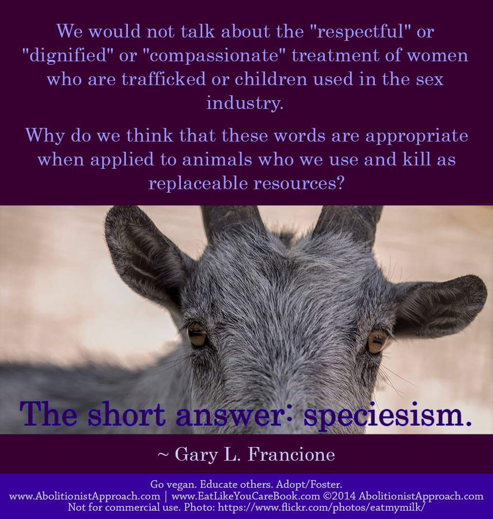 Prof Gary Francione On Twitter Blog Essay Animal Welfare Gary Francione On Twitter Blog Essay Animal Welfare Regulation Happy Exploitation And Speciesism Httpstcoeiynrlvuy Govegan Veganism High School Dropout Essay also Argumentative Essay Proposal Example Of Essay With Thesis Statement