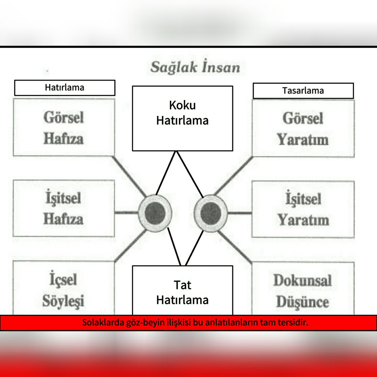 Ömer ASİL on X: Göz hareketlerinin anlamları ve beyin ilişkisi. #bedendili  #mikroifadeler #bodylanguage #microexpression #yalanyakalama  https://t.co/8vyNspzKPJ / X