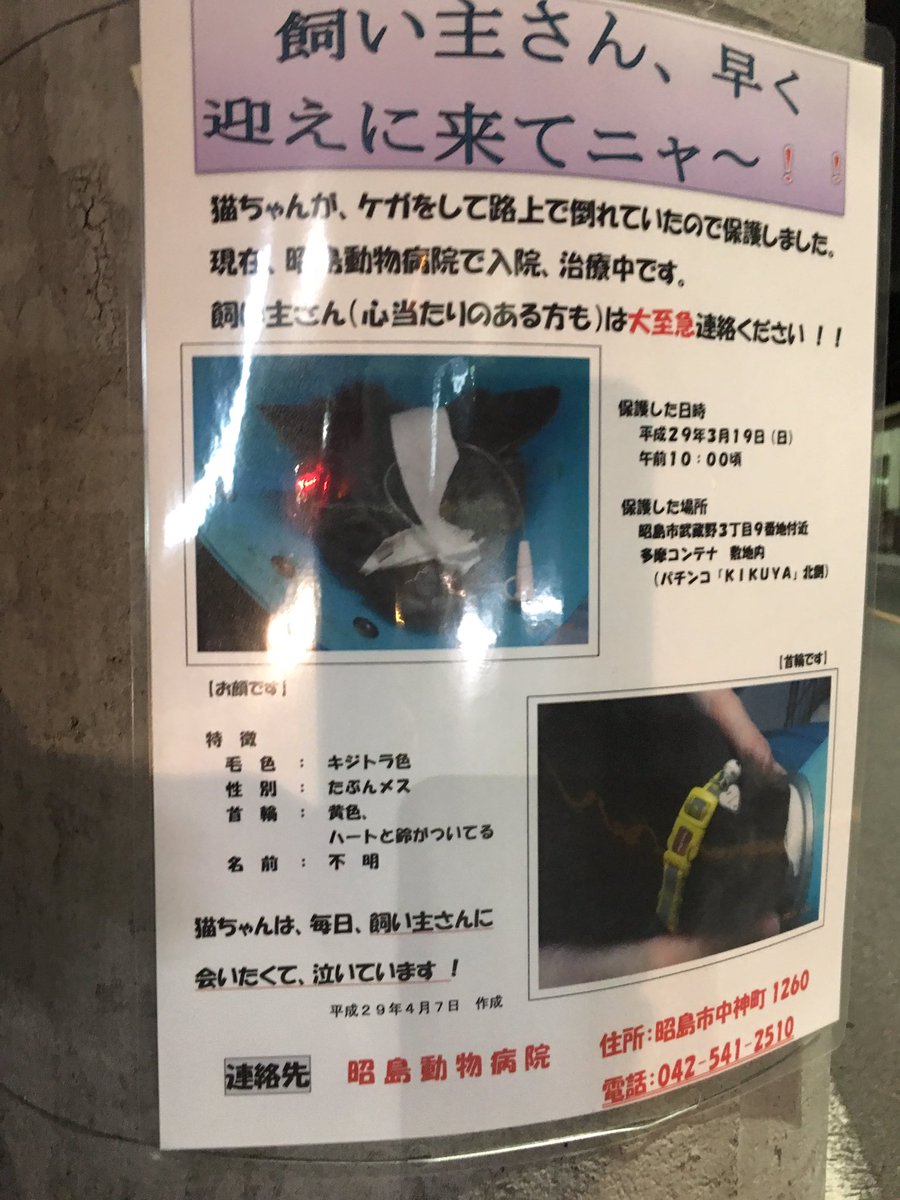 病院 昭島 動物
