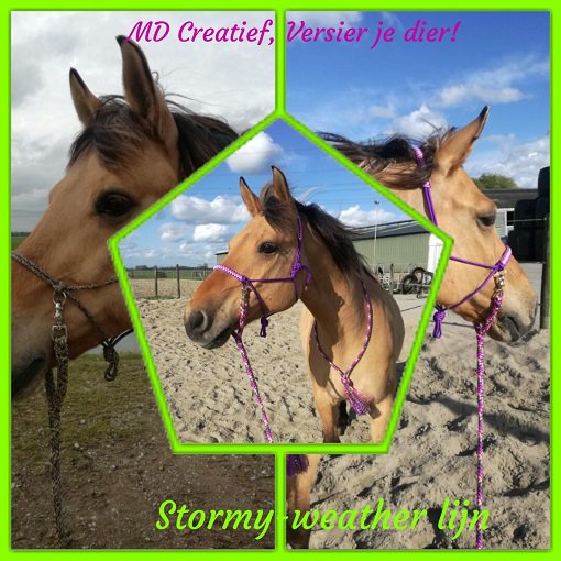 Er staan maar liefst 200 stands met allerlei leuke producten op Animal Event. 7 producten die je niet mag missen: bit.ly/2oIsC1b