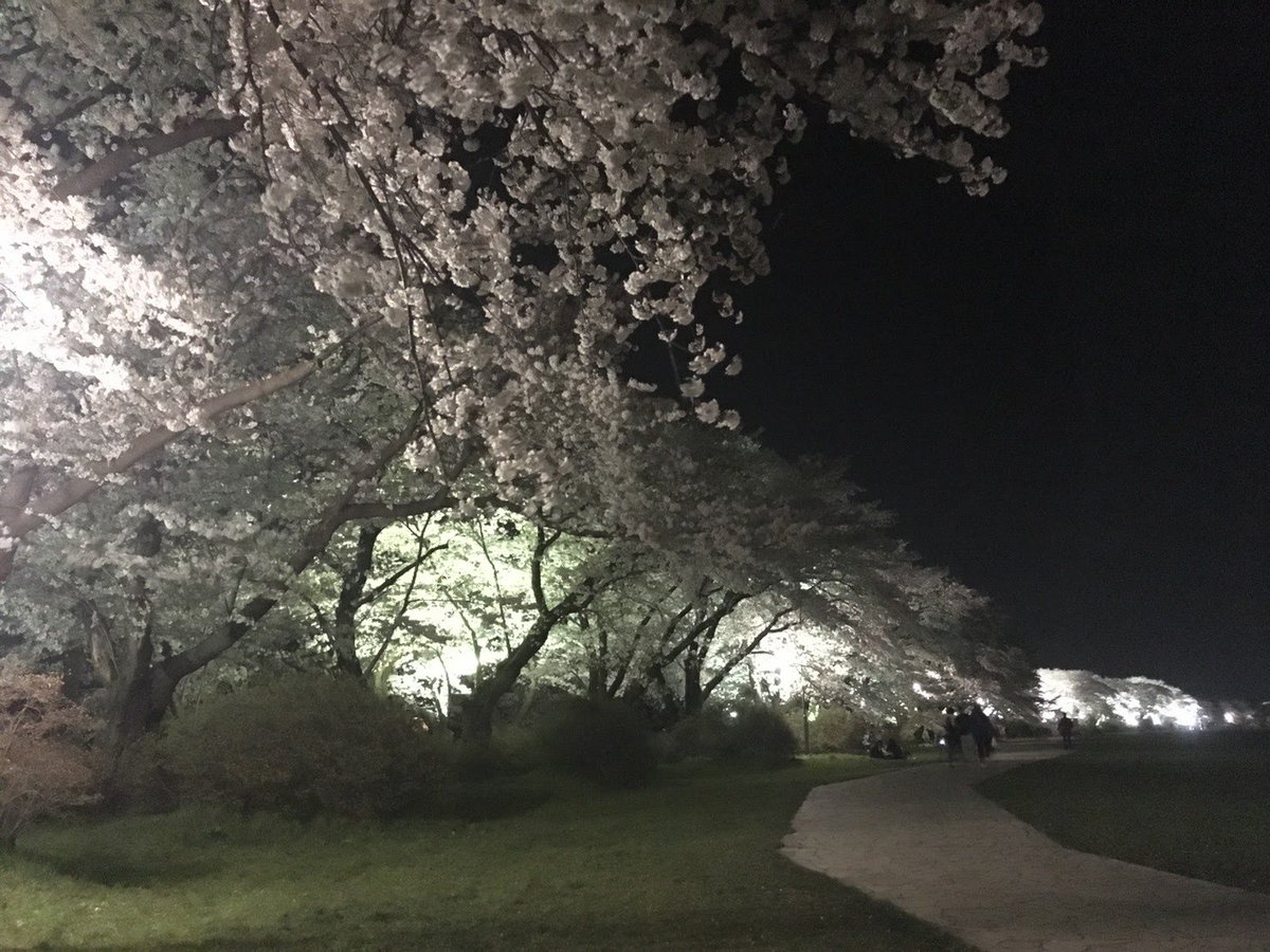 岩手の温泉 花巻温泉 公式 على تويتر 花巻温泉さくら便り 号外 T Co He1a76bt9e 本日は みちのく三大桜名所 北上展勝地 より 満開の夜桜をお届けします 北上展勝地 桜 さくら お花見 観光 旅行 春 花巻温泉 岩手の温泉 花巻温泉 公式 على تويتر 花巻温泉さくら便り 号外 T Co He1a76bt9e 本日は みちのく三大桜名所 北上展勝地 より 満開の夜桜をお届けします 北上展勝地 桜 さくら お花見 観光 旅行 春 花巻温泉