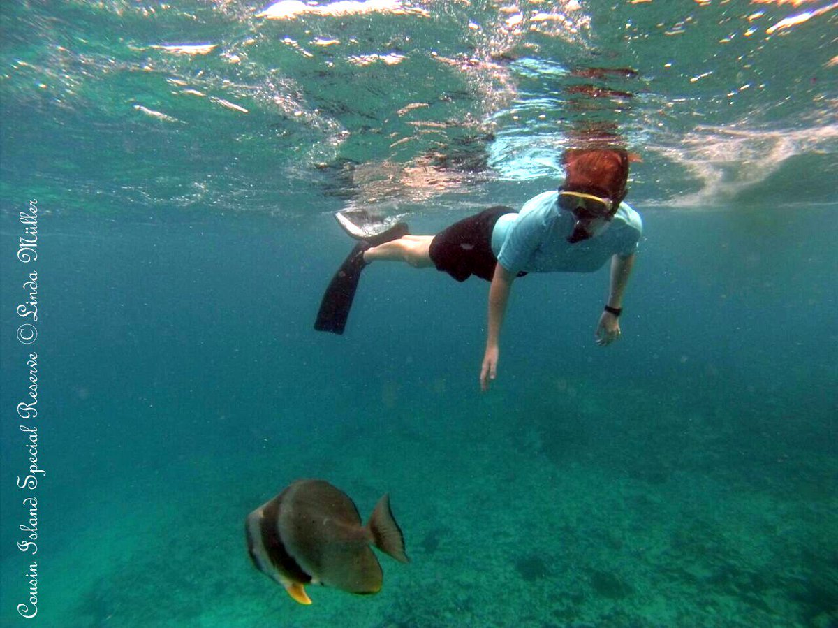 NatureSey's tweet image. Learning hands-on #ecotourism on #CousinIsland: goo.gl/9hDtsm #ConservationBootCamp