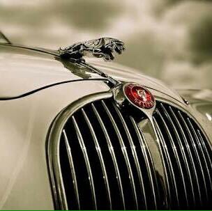 ask7191's tweet image. 