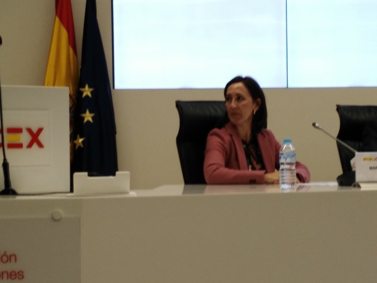 CdeElectrico's tweet photo. María Ángeles Muñoz, directora de @Fedai_es, explica la plataforma #lightingspain, que comienza con 20 firmas @ICEX_ https://t.co/Ab2FvriyPR
