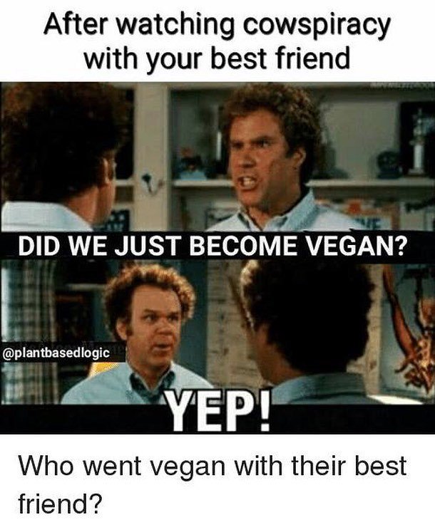 JadeCoralPhotos's tweet image. Tag your vegan Bestie&apos;s 💜👯. Repost from @plantbasedlogic #vegan#vegansunite #govegan #savetheanimals#crueltyfree #livecrueltyfree #compassi…