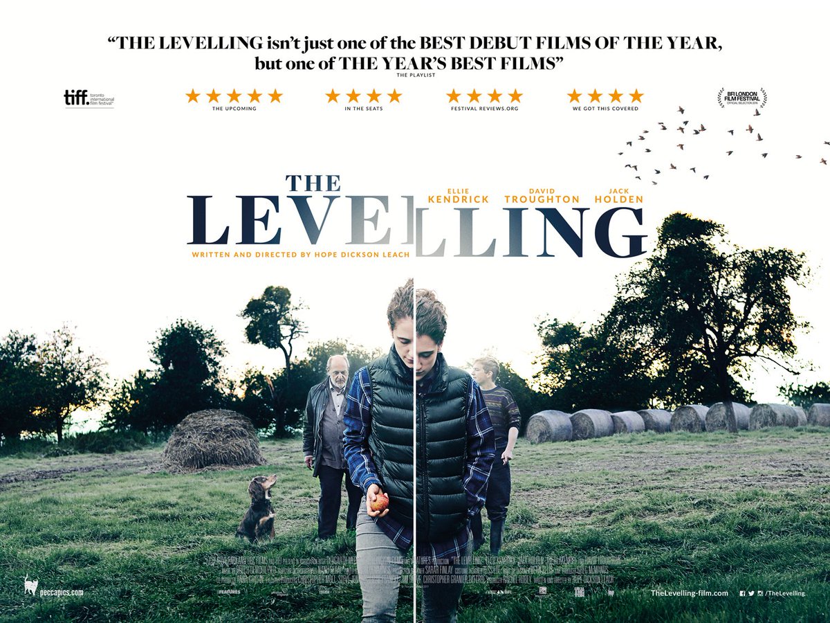 Image result for the levelling poster
