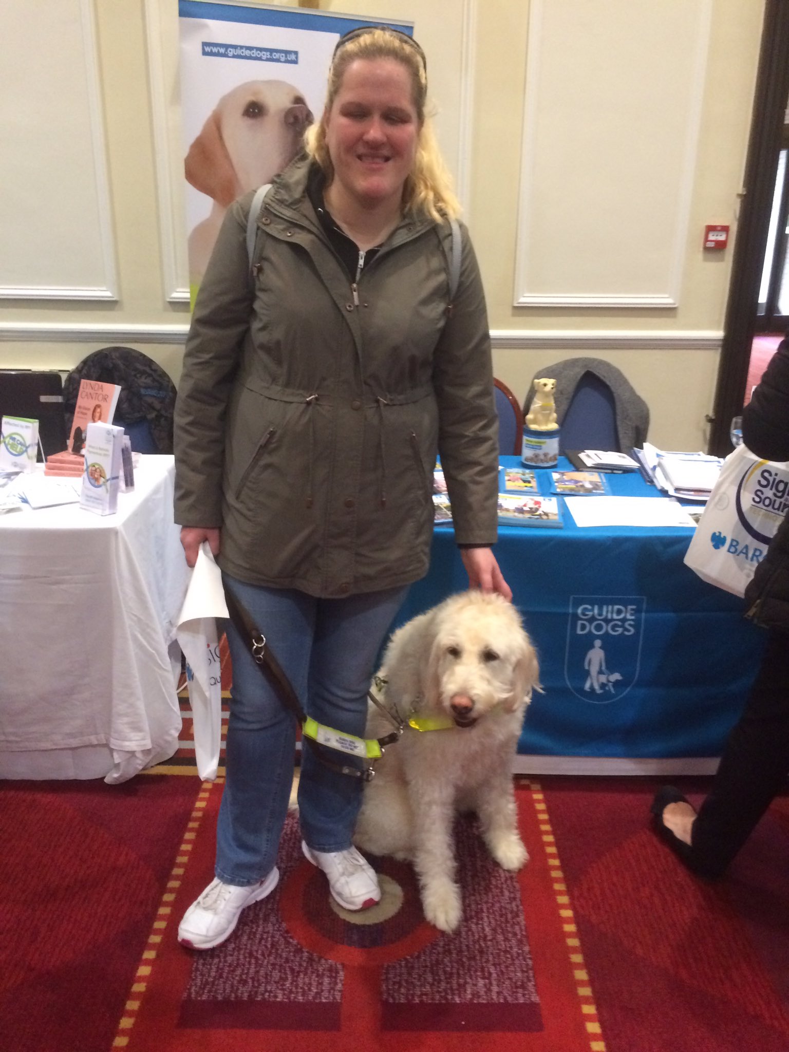 Labradoodle guide store dog