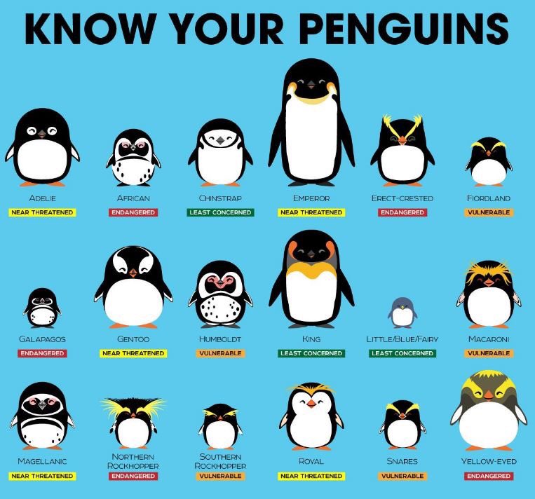 Slightly disappointed that we failed to acknowledge #PenguinDay, but as we're only a few hours late, here's a guide to #Penguins #vulnerable