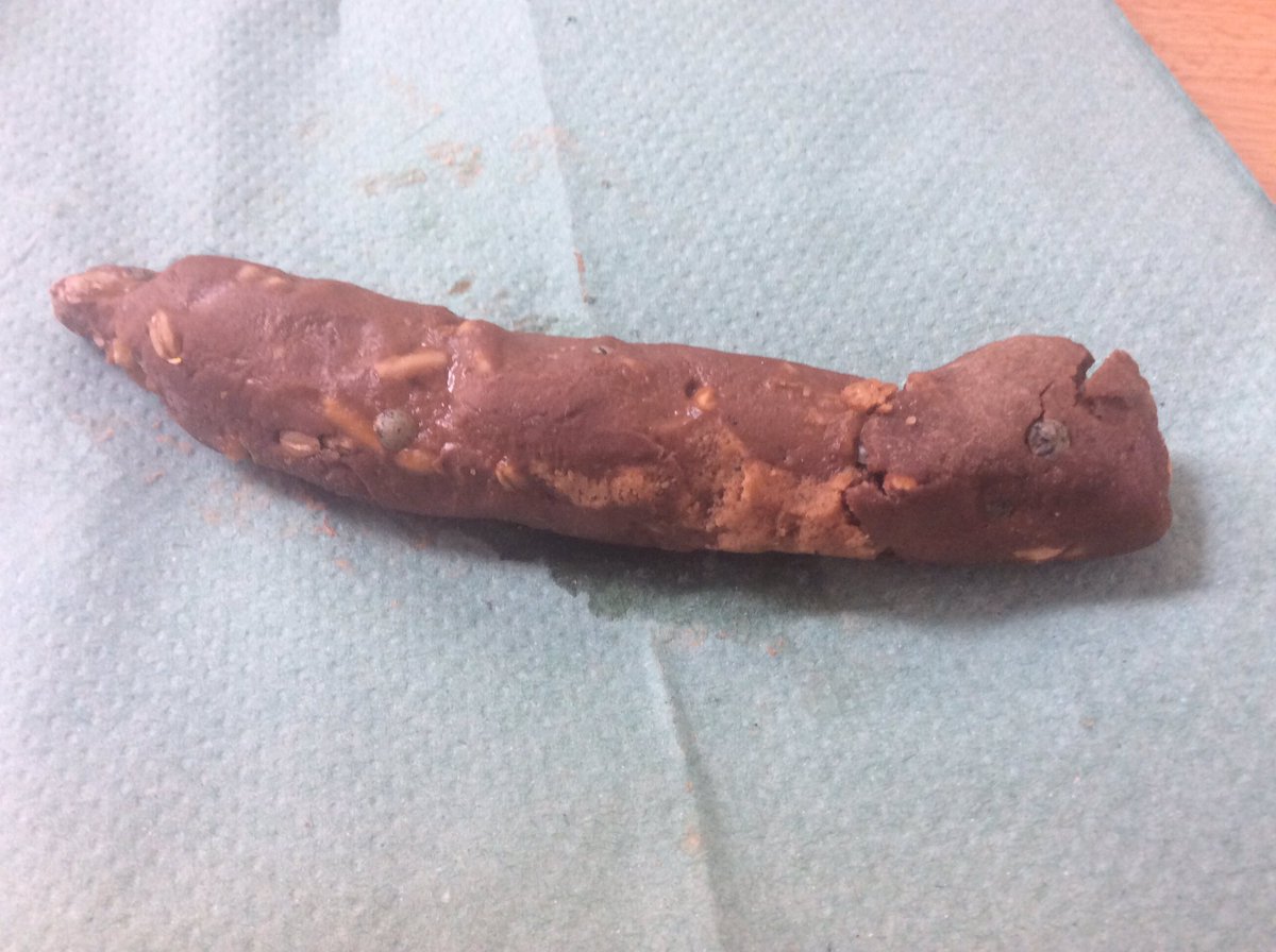 bps_Y5's tweet photo. Can you guess when this poo is from? Do you think it is Viking, Greek or Tudor? Why do you think that? #historycomestolife #practicalhistory https://t.co/p0Ah93l5bP