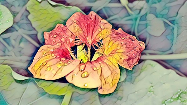 SEM_photo's tweet image. New artwork for sale! - &quot;Orange flower after rain&quot; - fineartamerica.com/featured/orang… @fineartamerica