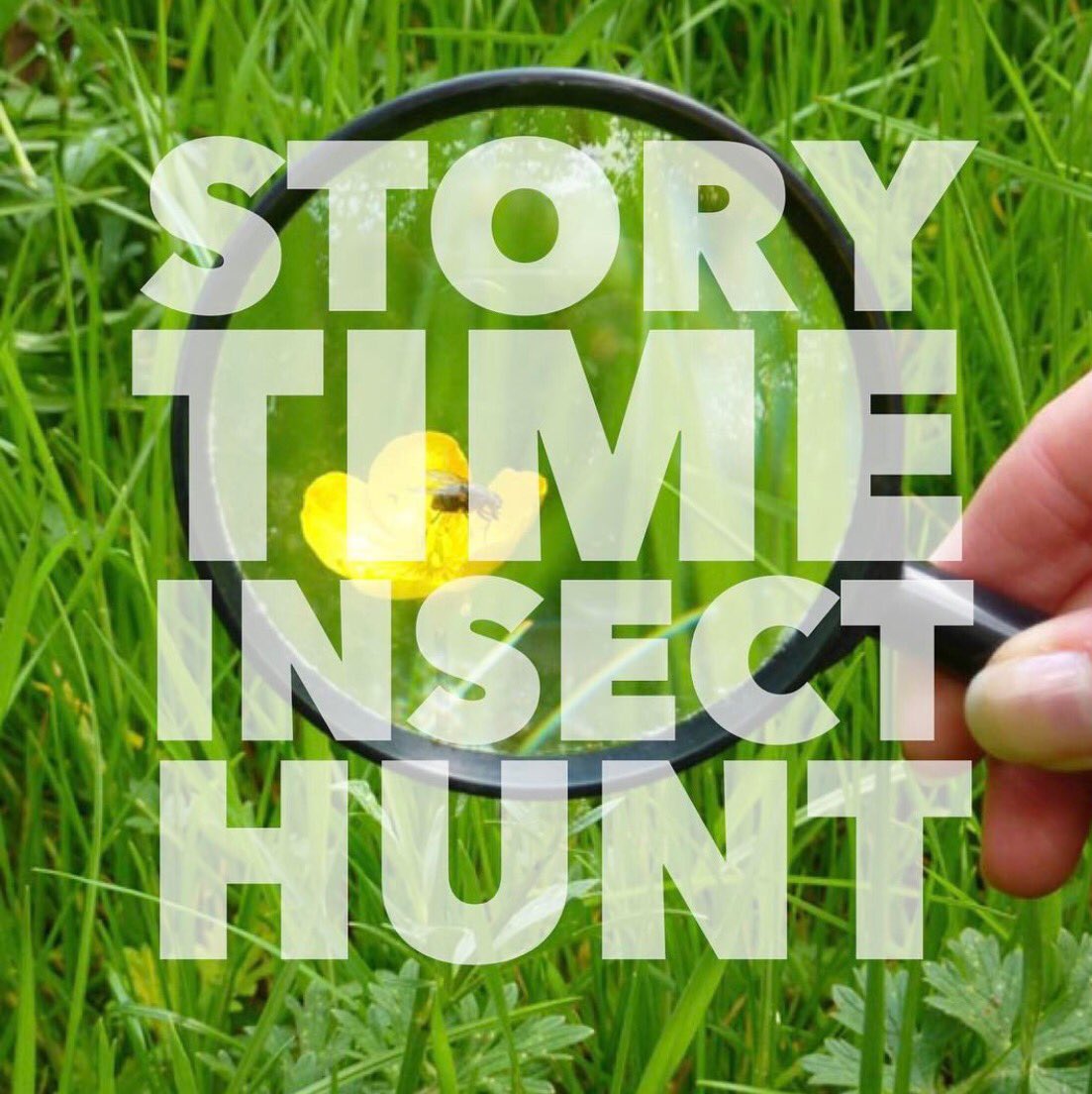 eatlocalmonth's tweet photo. Bring your gumboots and head to The Farmer's Place in Freshwatercreek tomorrow 9.30am for story time. Popular with pre-schoolers,it's free! https://t.co/oeDlOlLGOY