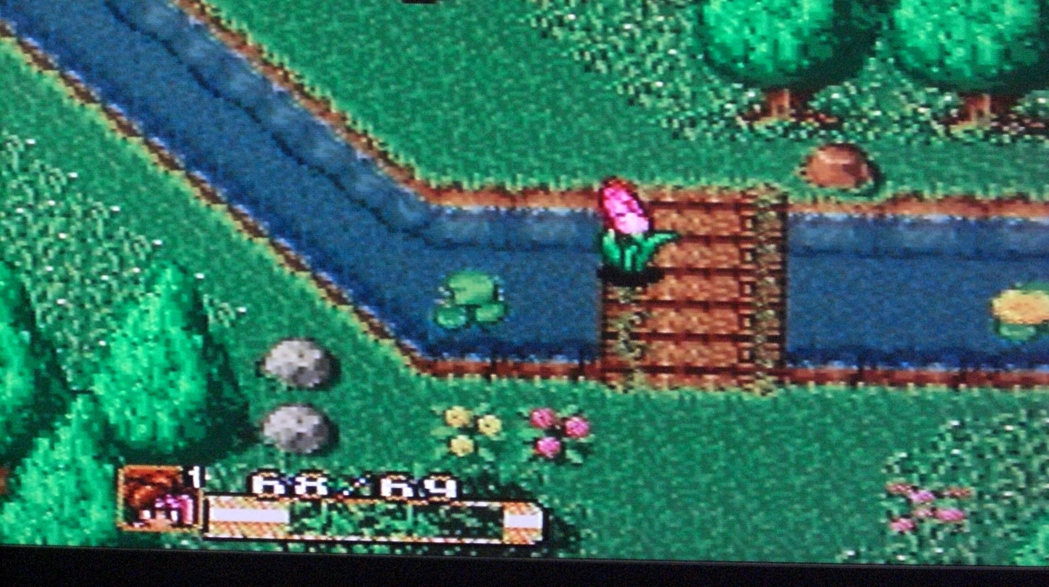 星山 聖剣伝説２ ポトス村から追い出されたのでとりあえず水の神殿へ 敵のバドフラワー マイコニド 水の神殿にてルサ ルカ様登場 さびた聖剣と水の種子が共鳴 そしてプリムが 仲間になる プリムは強気でわがままだが情に厚い非常にいい奴 聖剣伝説