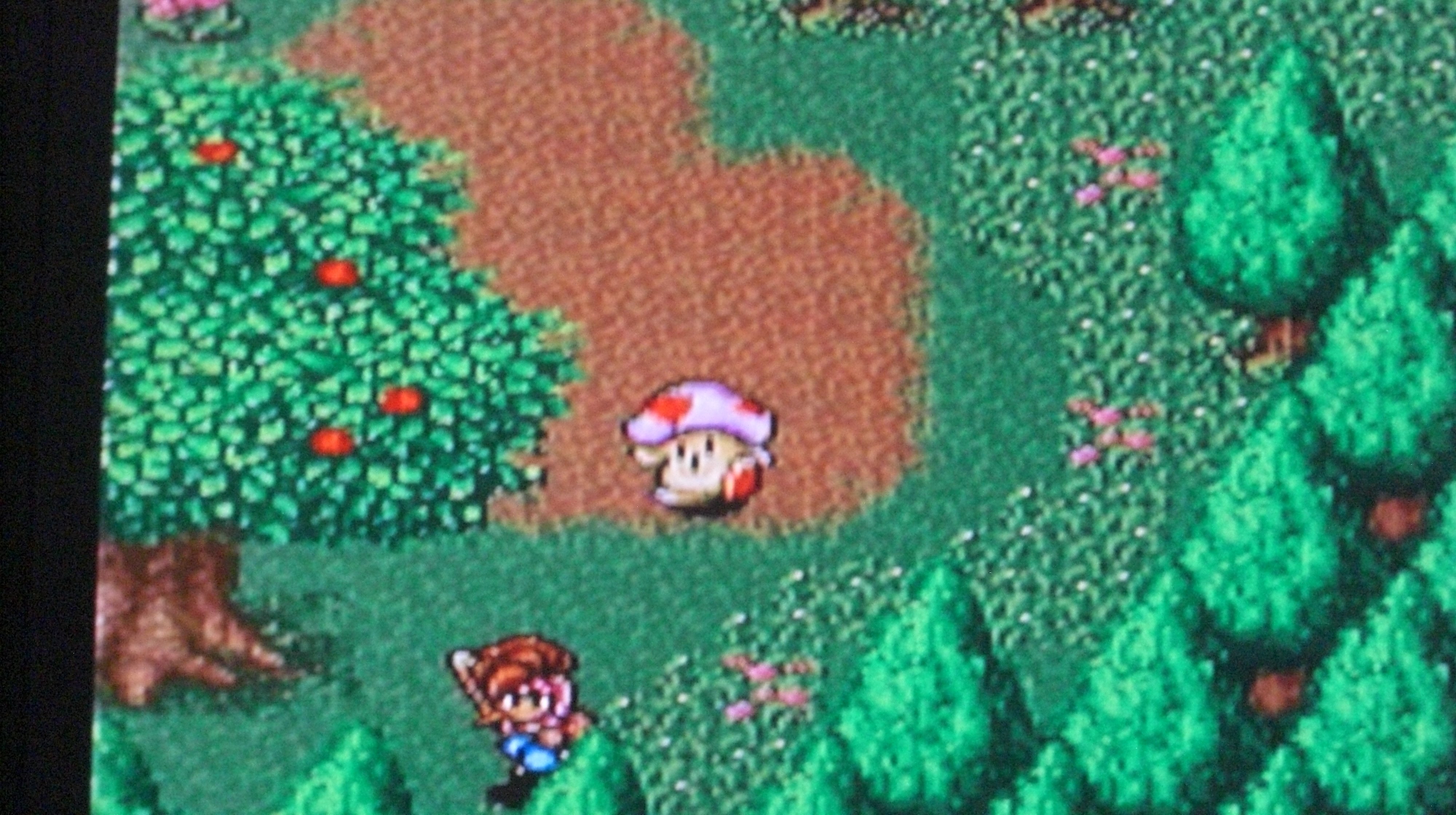星山 聖剣伝説２ ポトス村から追い出されたのでとりあえず水の神殿へ 敵のバドフラワー マイコニド 水の神殿にてルサ ルカ様登場 さびた聖剣と水の種子が共鳴 そしてプリムが 仲間になる プリムは強気でわがままだが情に厚い非常にいい奴 聖剣伝説